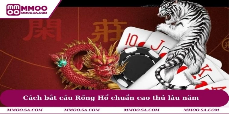 Cách Bắt Cầu Rồng Hổ Mang Đến Tỷ Lệ Thắng Game Bài Cao 2 Cách bắt cầu Rồng Hổ chuẩn cao thủ lâu năm
