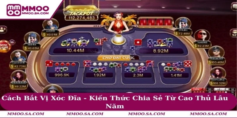 Cách Bắt Vị Xóc Đĩa - Kiến Thức Chia Sẻ Từ Cao Thủ Lâu Năm