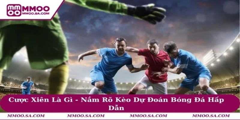 Cược Xiên Là Gì - Nắm Rõ Kèo Dự Đoán Bóng Đá Hấp Dẫn