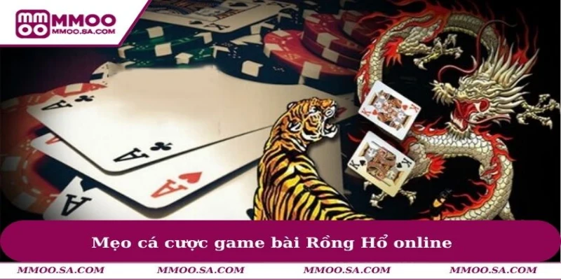 Cách Bắt Cầu Rồng Hổ Mang Đến Tỷ Lệ Thắng Game Bài Cao 3 Mẹo cá cược game bài Rồng Hổ online
