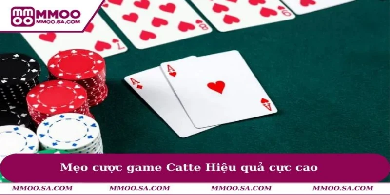Cách Chơi Catte - Hướng Dẫn Bước Đơn Giản Bắt Đầu Cược 3 Mẹo cược game Catte hiệu quả cực cao
