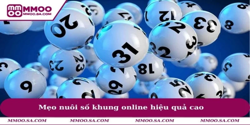 Cách Chơi Lô Đề Có Lãi Giúp Nâng Cao Hiệu Suất Cá Cược 2 Mẹo nuôi số khung online hiệu quả cao